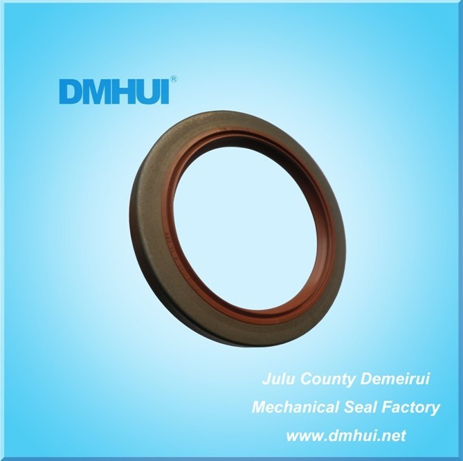 Gearbox Oil Seal 75*100*10